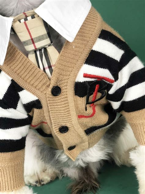 burberry dog|Burberry dog clothes.